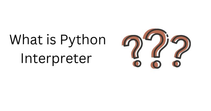 What is Python Interpreter