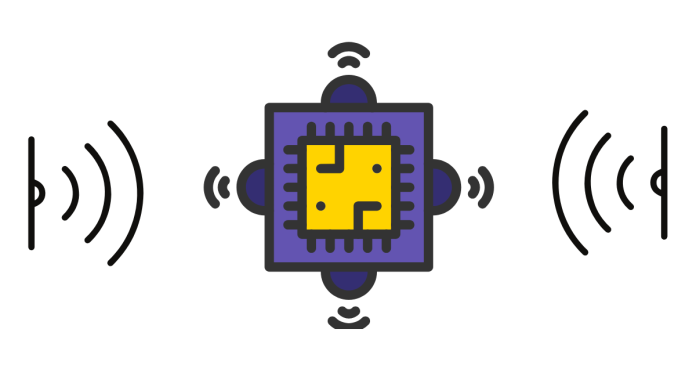 What is a Wireless Sensor Network (WSN)