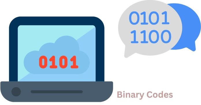 What is a binary decoder in digital logic?