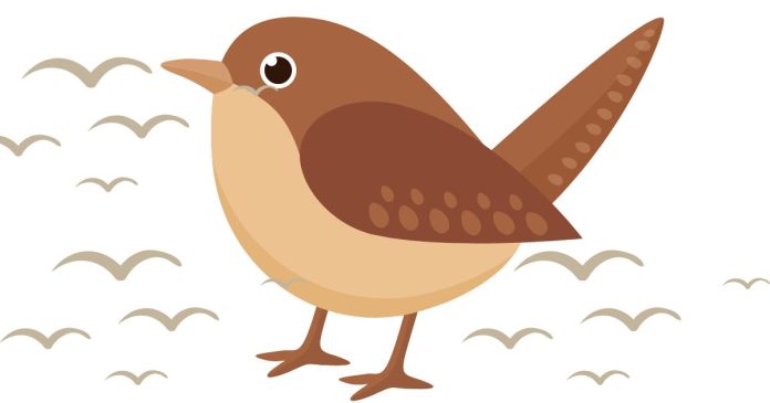 What is a rhyming word pair for nice bird?