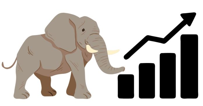 What is an elephants lifespan?