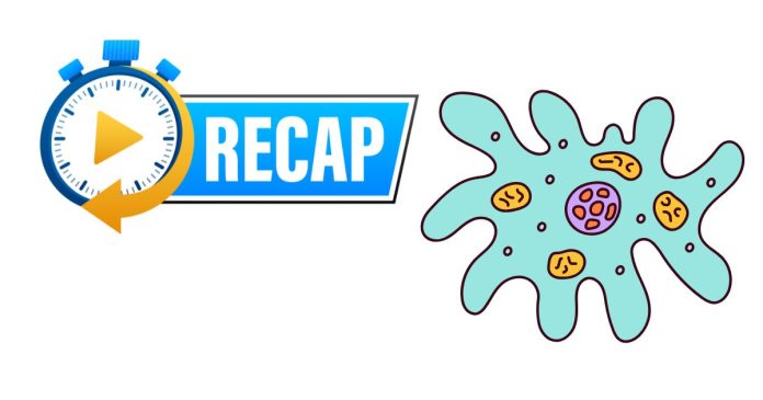 What is the Amoeba Sisters Video Recap on Enzymes 2 About?