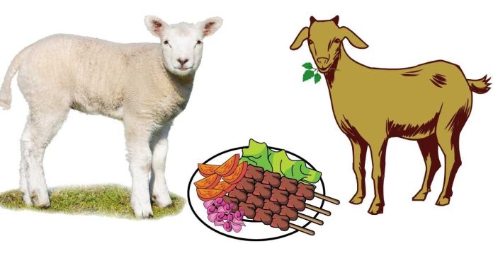 What is the Difference Between Lamb and Goat Meat?