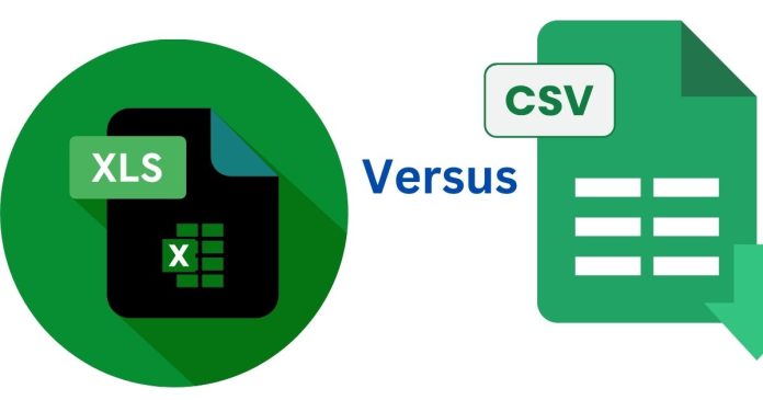 What is the Difference between Excel and CSV formats?