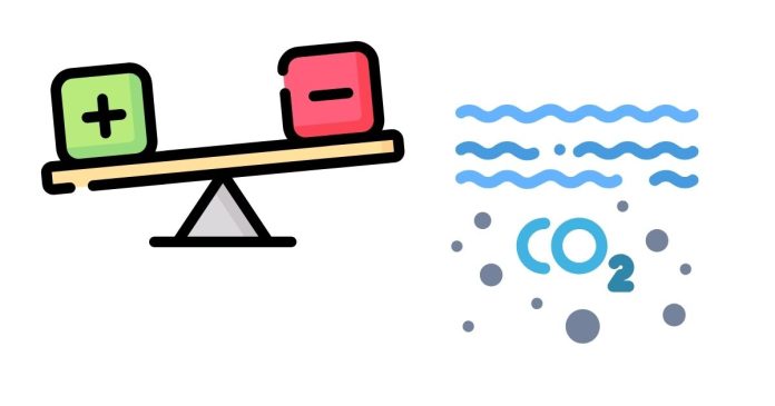 What is the balanced equation for CO2 C CO