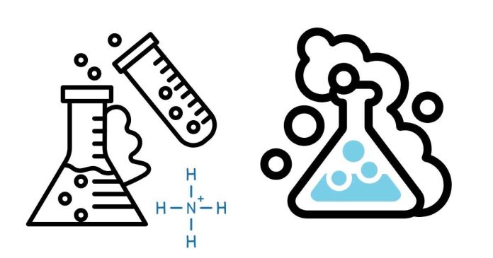 What is the chemical equation for the reaction of ammonium carbonate?