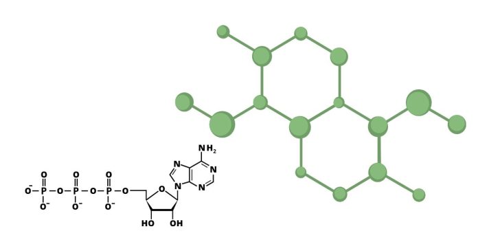 What is the chemical name of the compound with the formula NH₄BrO₃?