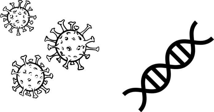 What is the control center of the bacteria cell