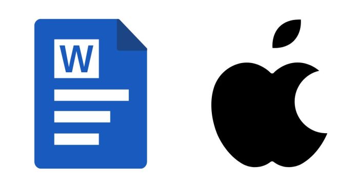 What is the difference between Microsoft Word and apple?