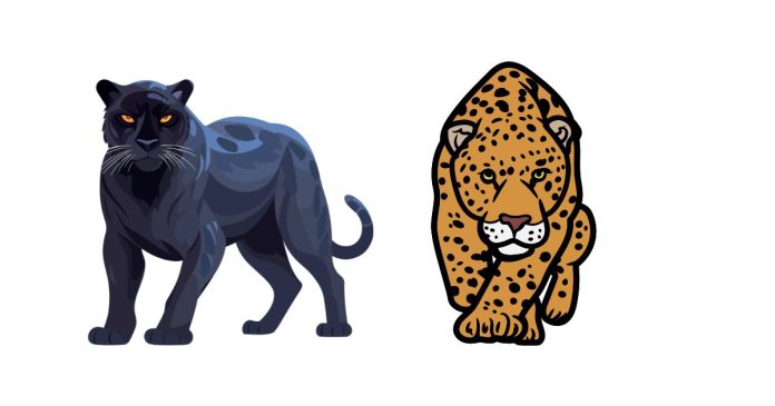 What is the difference between a black panther, Jaguar ?