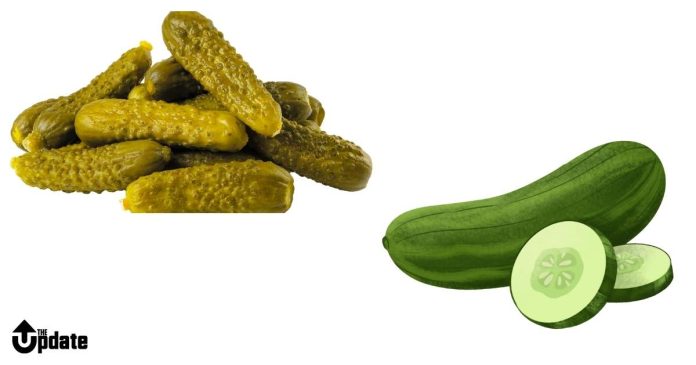 What is the difference between a cucumber and a pickle?