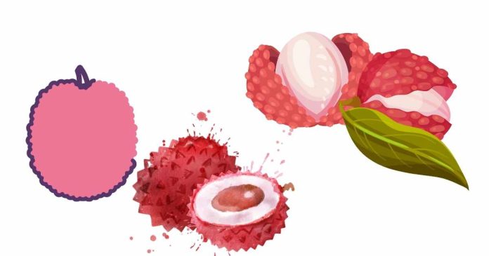 What is the difference between a lychee, litchi and a leechi?