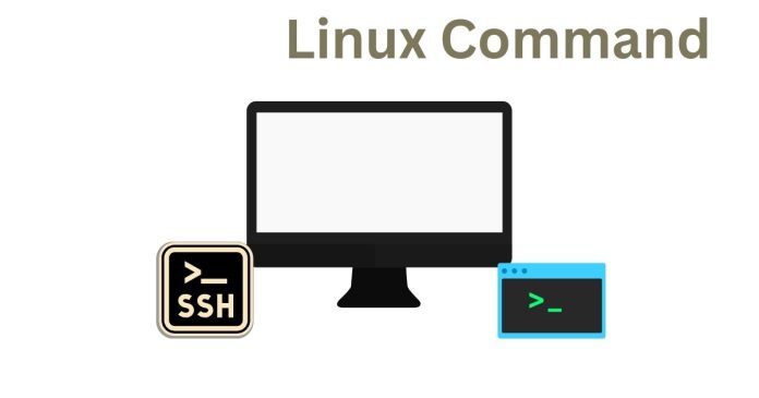 What is the exit command in Linux, and how is it used with examples?