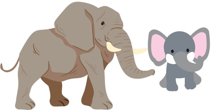 What is the genus of an elephant?