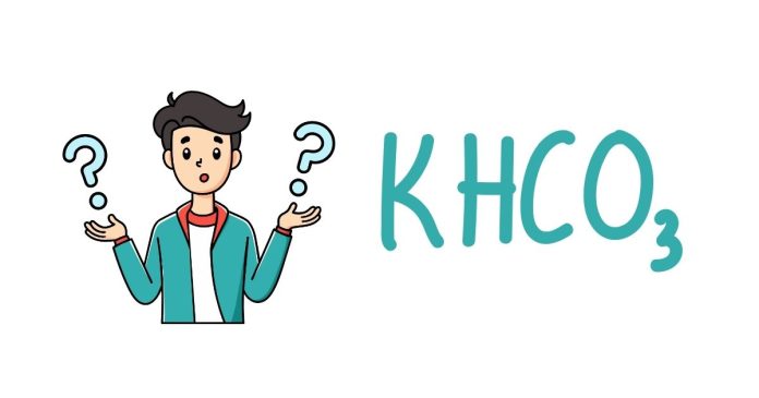 What is the ionic name for KHCO3