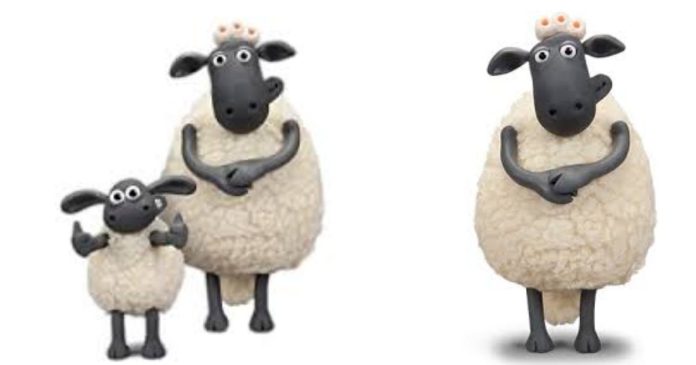 What is the name of Timmy's mother in Shaun the Sheep?