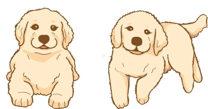 What Is the Normal Price for a Golden Retriever Puppy?