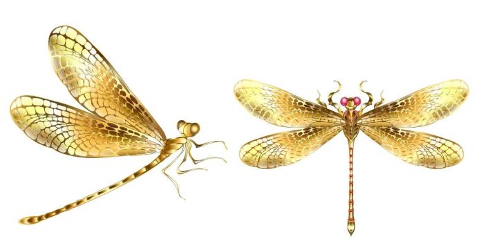 What is the spiritual meaning of seeing a dragonfly?