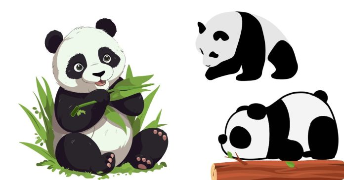 What other food do Pandas eat?