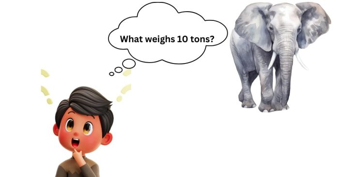 What weighs 10 tons?