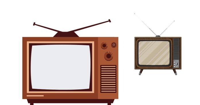 When was the first Television bought?