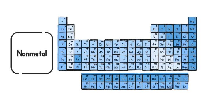 Where are the majority of nonmetals found on the periodic table?