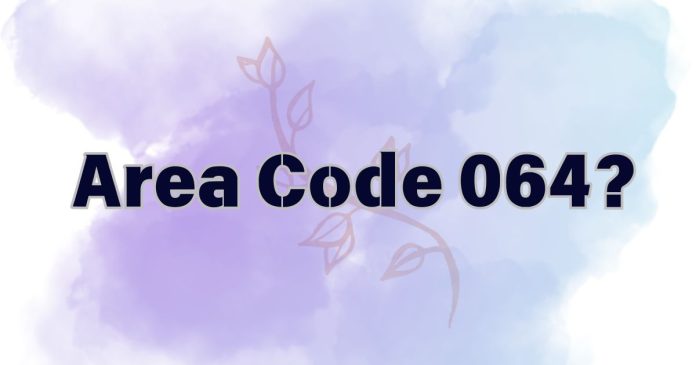 Where is Telephone Area Code 064?