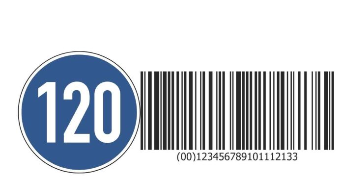 Where is telephone country code 120?