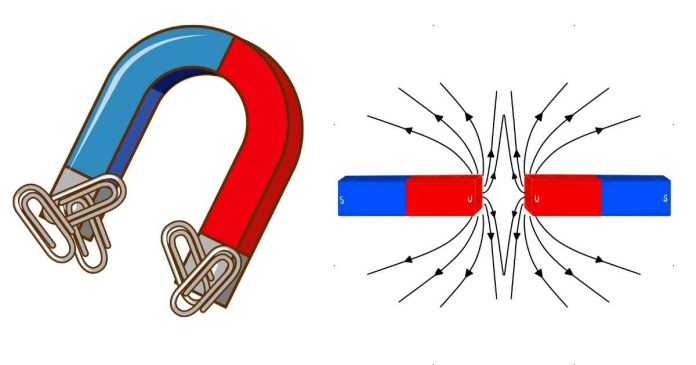 Where on a magnet are the magnetic forces the strongest?