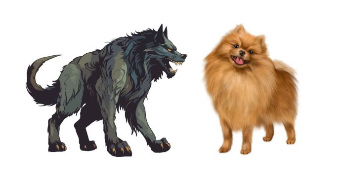 Which Dog Breed Resembles a Werewolf?