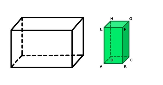 Which Is the Net for This Rectangular Prism?