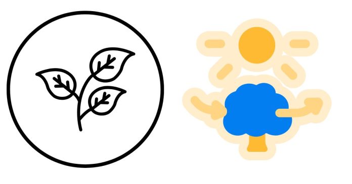 Which Kingdoms Have Photosynthetic Organisms