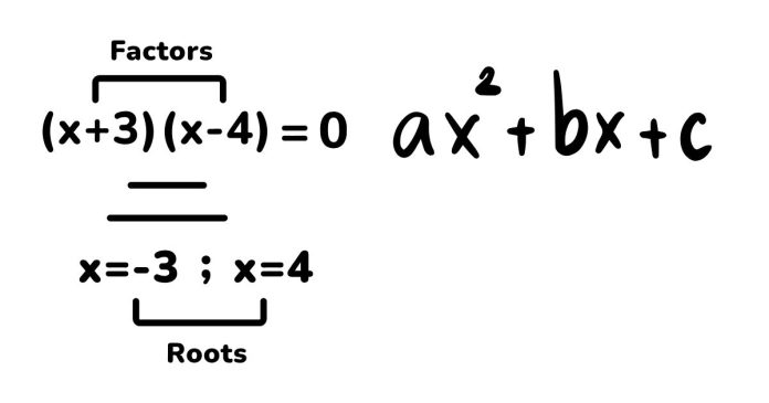 Which Of the Following Are Polynomials?