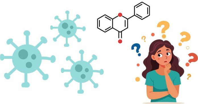 Which Structures Carry Out Life Functions Within Cells?