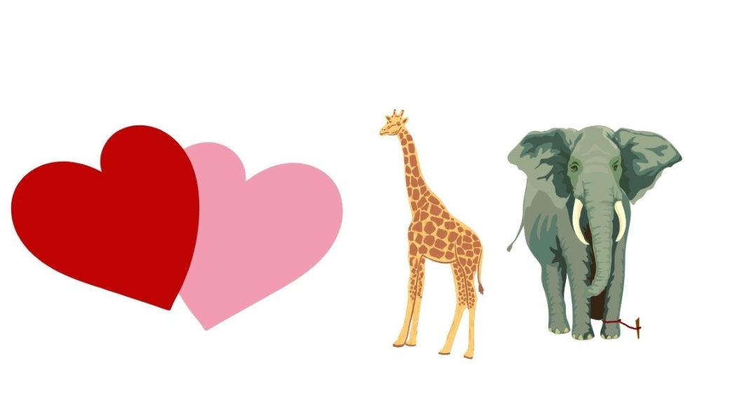 Which animal symbolizes love?