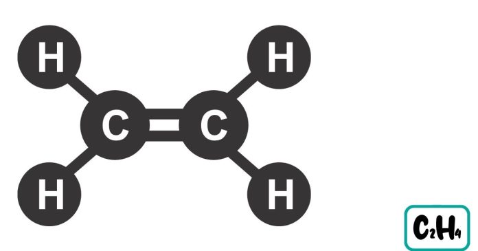 Which is the correct Lewis structure of C2H4