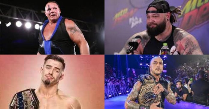 Who Are the Wrestlers by Age?