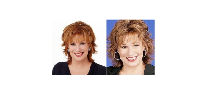 Who Is Joy Behar?