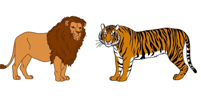 Who Would Win in a Battle: A Lion or a Tiger?