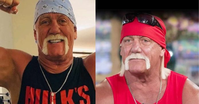 Who is Hulk Hogan?