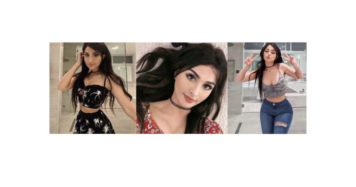 Who is SSSniperWolf?