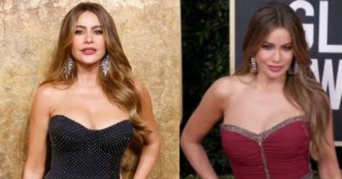 Who is Sofia Vergara?