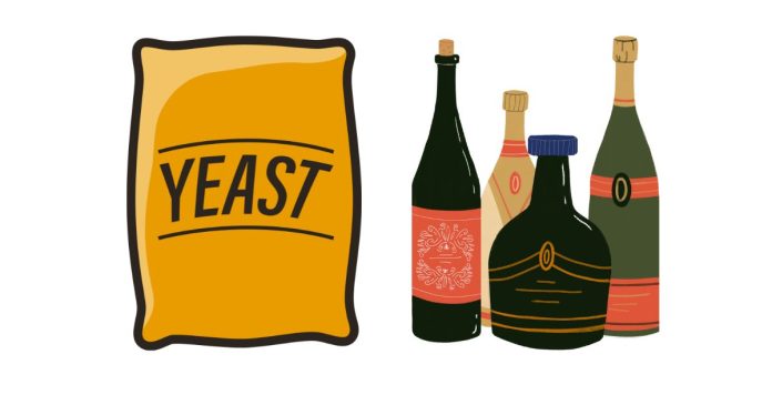 Why Is Yeast Important in the Production of Alcoholic Drinks?