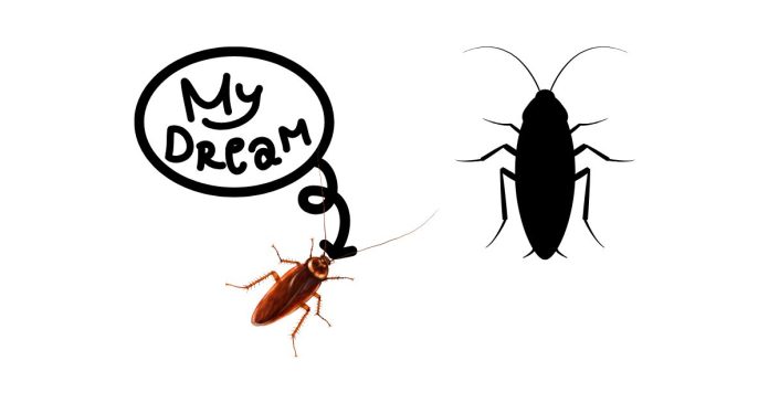 Why Were There So Many Roaches in My Dream?