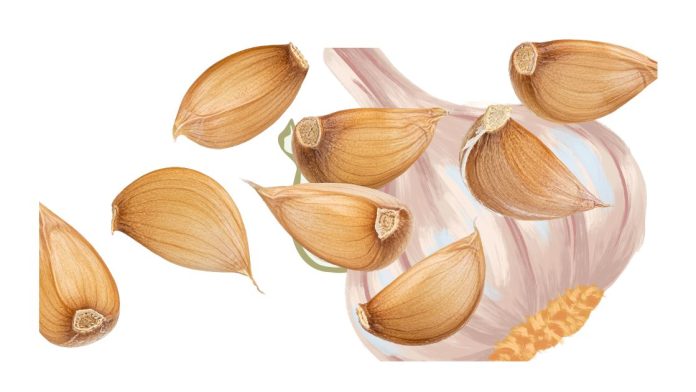 cloves of garlic