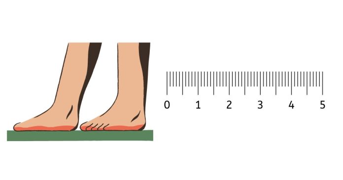 How many inches are in two feet?