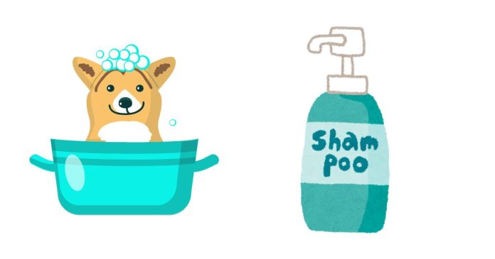 What dog shampoo brand is good?