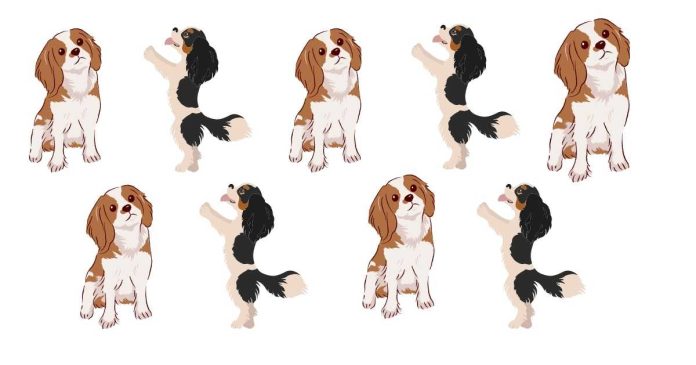 What's bad about Cavalier King Charles dogs?