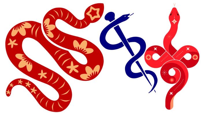 snakes symbolize