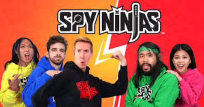 spy ninjas